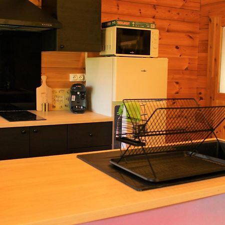 Chalet Pyreneen Saint-Ybars Esterno foto