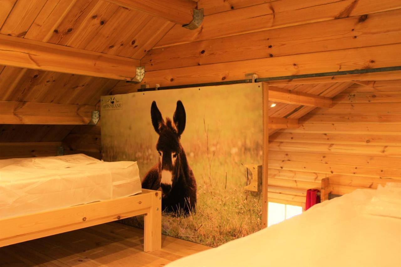 Chalet Pyreneen Saint-Ybars Esterno foto