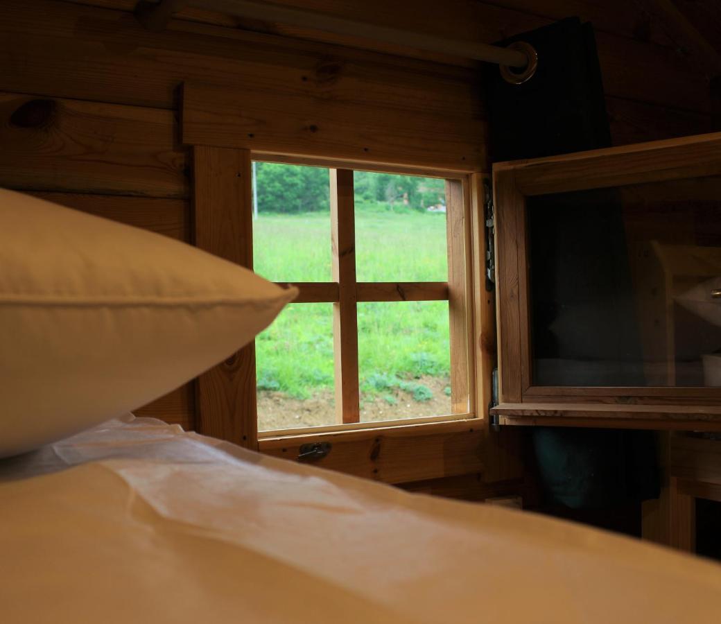 Chalet Pyreneen Saint-Ybars Esterno foto