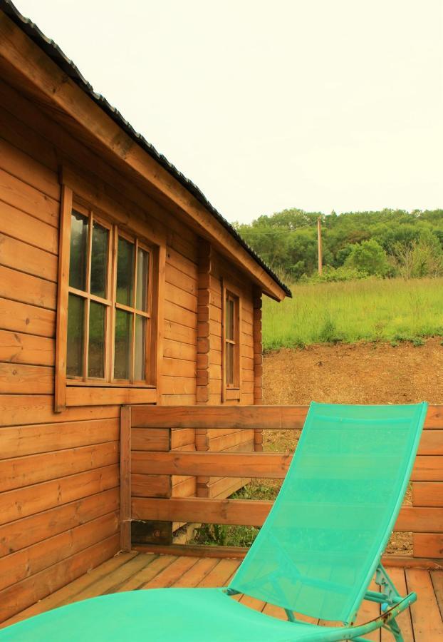 Chalet Pyreneen Saint-Ybars Esterno foto