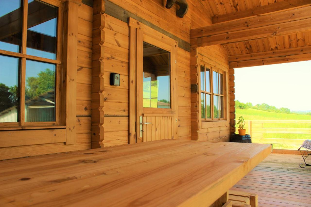 Chalet Pyreneen Saint-Ybars Esterno foto
